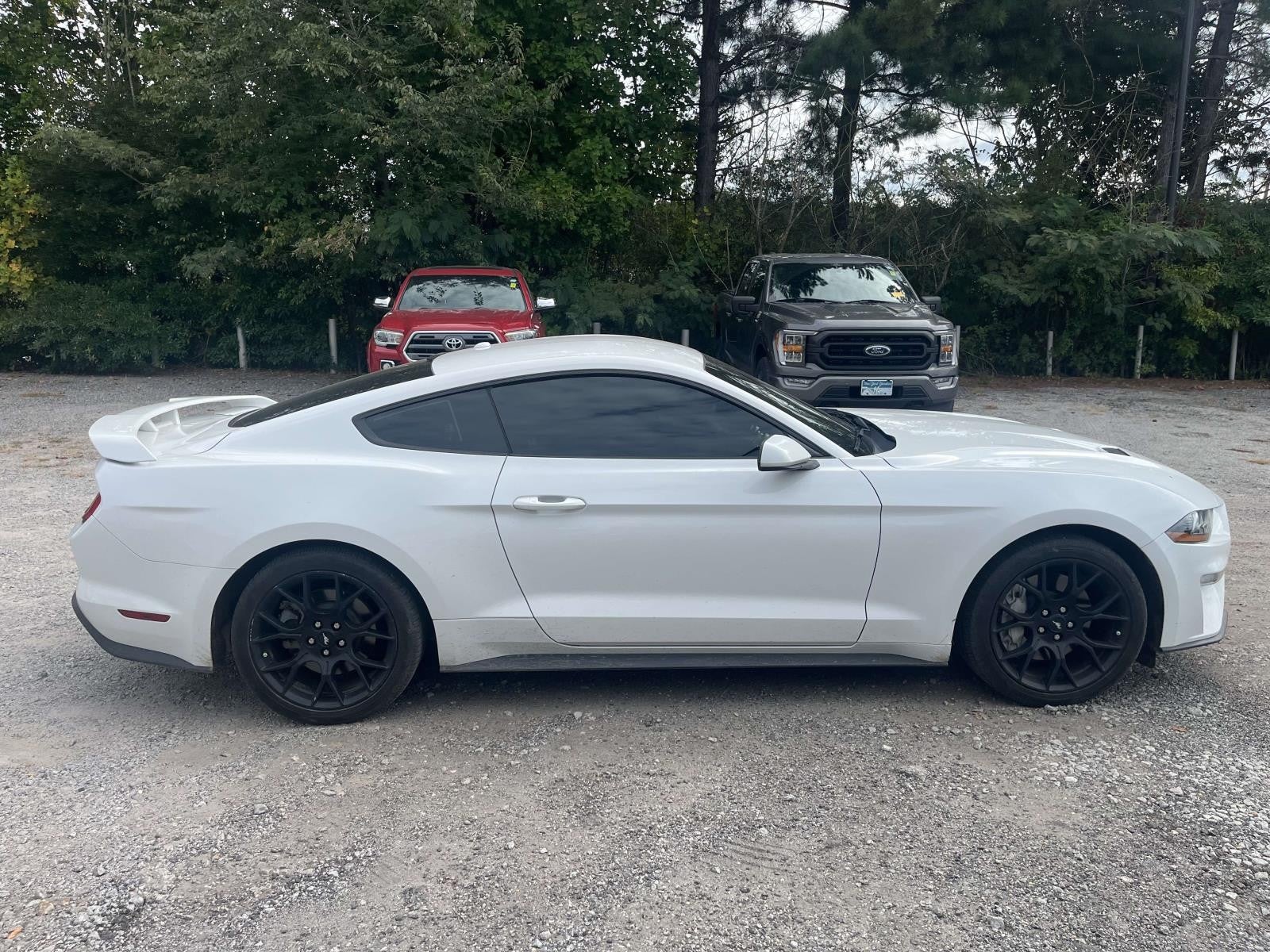 2019 Ford Mustang EcoBoost