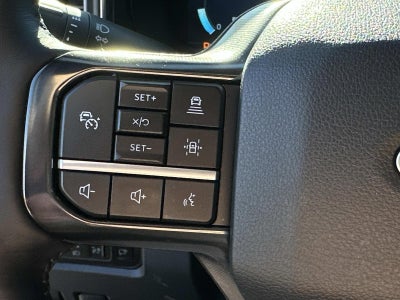 2025 Ford Super Duty F-250 SRW Platinum