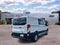 2025 Ford Transit Cargo Van T-250 130" Low Rf 9070 GVWR RWD