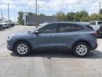 2025 Ford Escape ACTIVE FWD