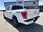 2023 Ford F-150 4WD CREW XLT